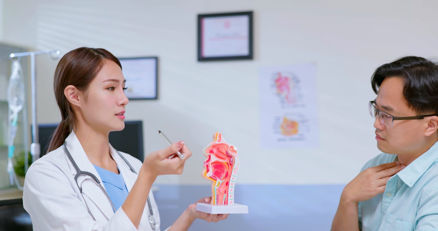 The Connection Between the Ears, Nose and Throat: Understanding Your ...