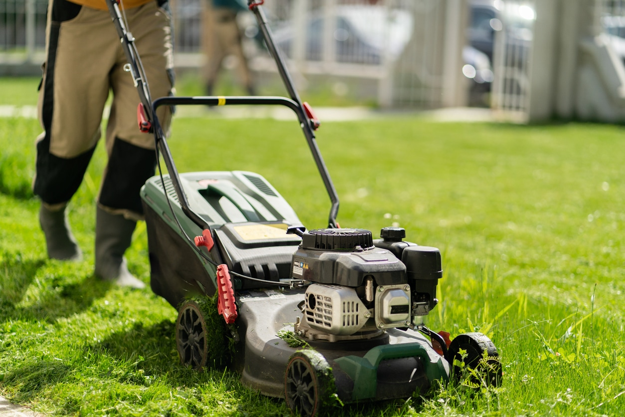 Mowing the grass.